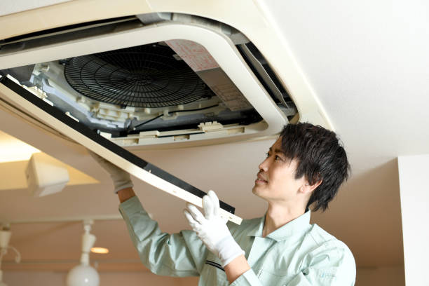 Best Air Vent Cleaning Services  in Terra Alta, WV